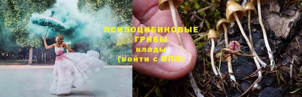 MESCALINE Белокуриха