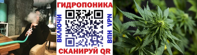 Бошки марихуана ГИДРОПОН  ссылка на мегу ONION  Троицк 